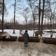 安圖長白山雪絨花馴鹿園游玩-長白山雪絨花馴鹿園門票多少錢/價格表-團購票價預定優惠-景點地址在哪里/圖片介紹/參觀預約/旅游游覽順序及注意事項/營業時間-】
