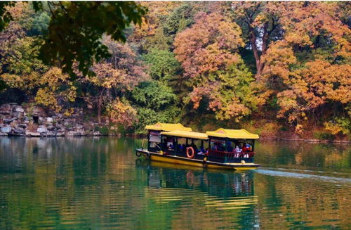 北京市屬公園31項(xiàng)重陽(yáng)活動(dòng)送祝福